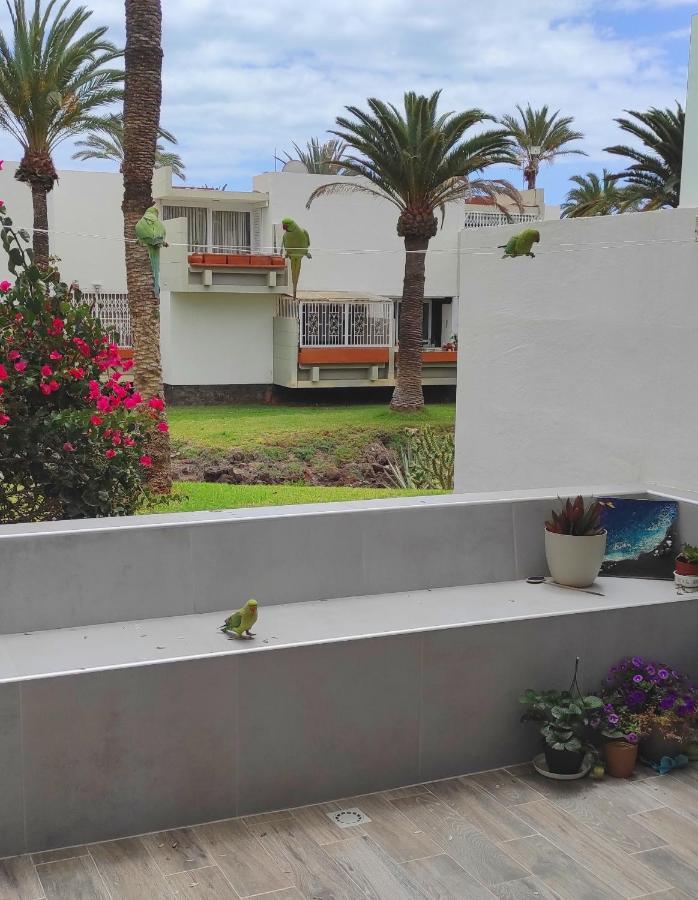 Ideal Holiday Apartment In The South Of Tenerife 코스타델실렌시오 외부 사진